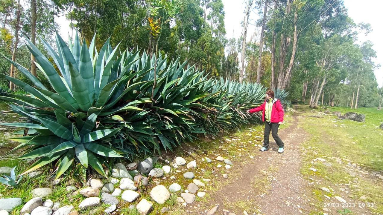 חאוחה Pousada Villa Huaripampa מראה חיצוני תמונה