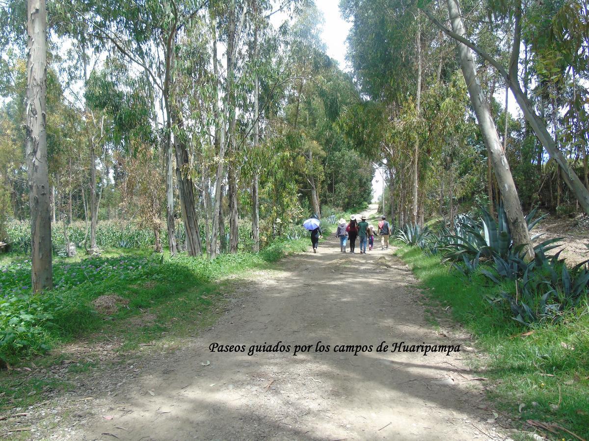 חאוחה Pousada Villa Huaripampa מראה חיצוני תמונה