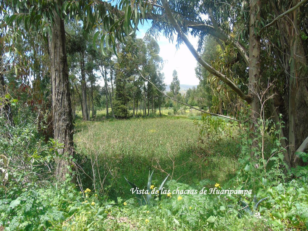 חאוחה Pousada Villa Huaripampa מראה חיצוני תמונה